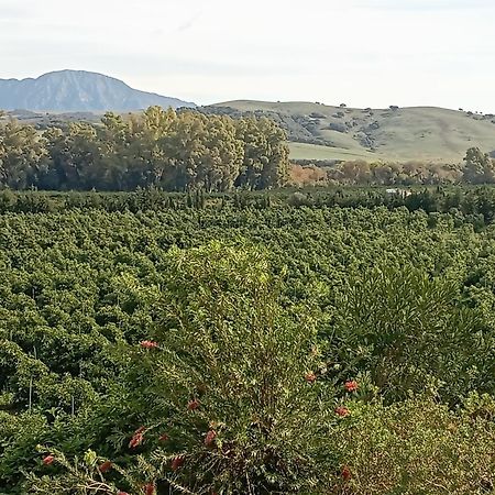 San Pablo Los Dos Cedros מראה חיצוני תמונה