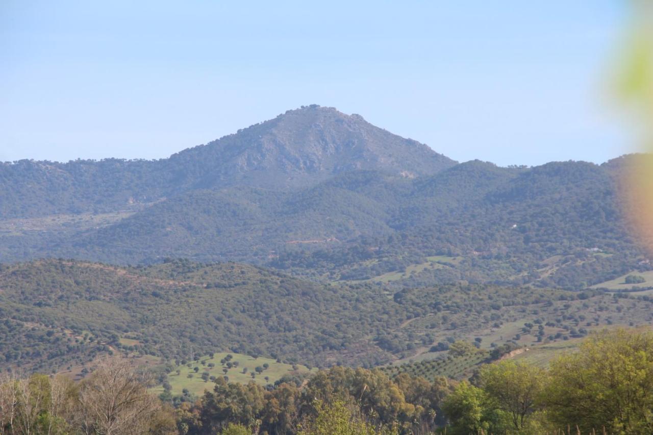 San Pablo Los Dos Cedros מראה חיצוני תמונה
