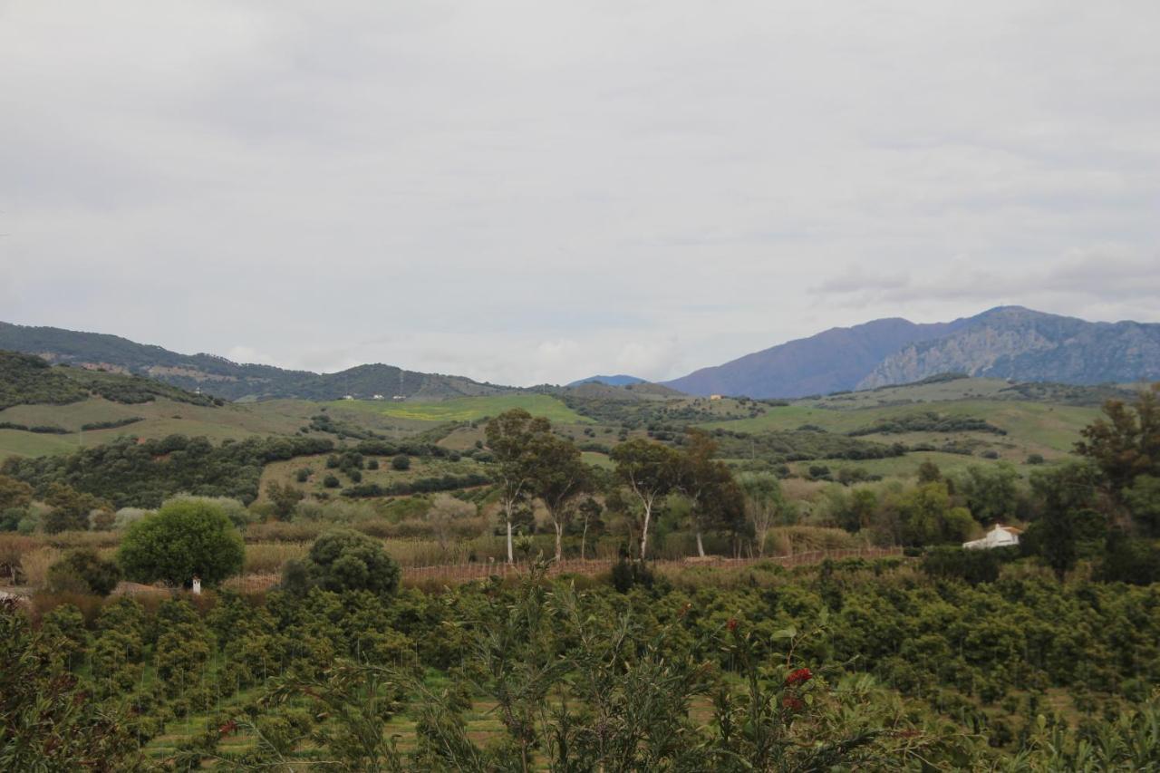 San Pablo Los Dos Cedros מראה חיצוני תמונה